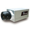 Lines HLC-81CD indoor wired IP camera