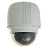 Dynacolour D801 (811) 